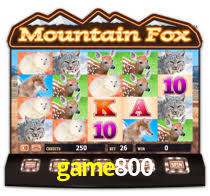 Programa VIP game800